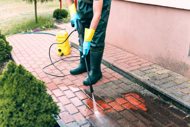Best Spring Cleaning  in Leonard, TX